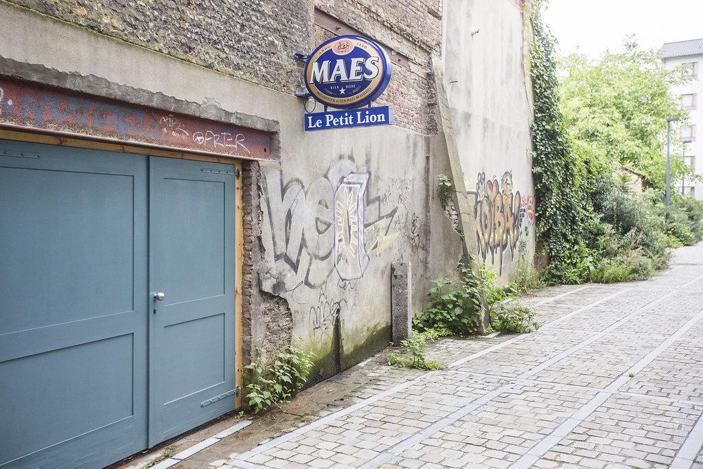 Les Chambres Du Petit Lion Brussels Luaran gambar
